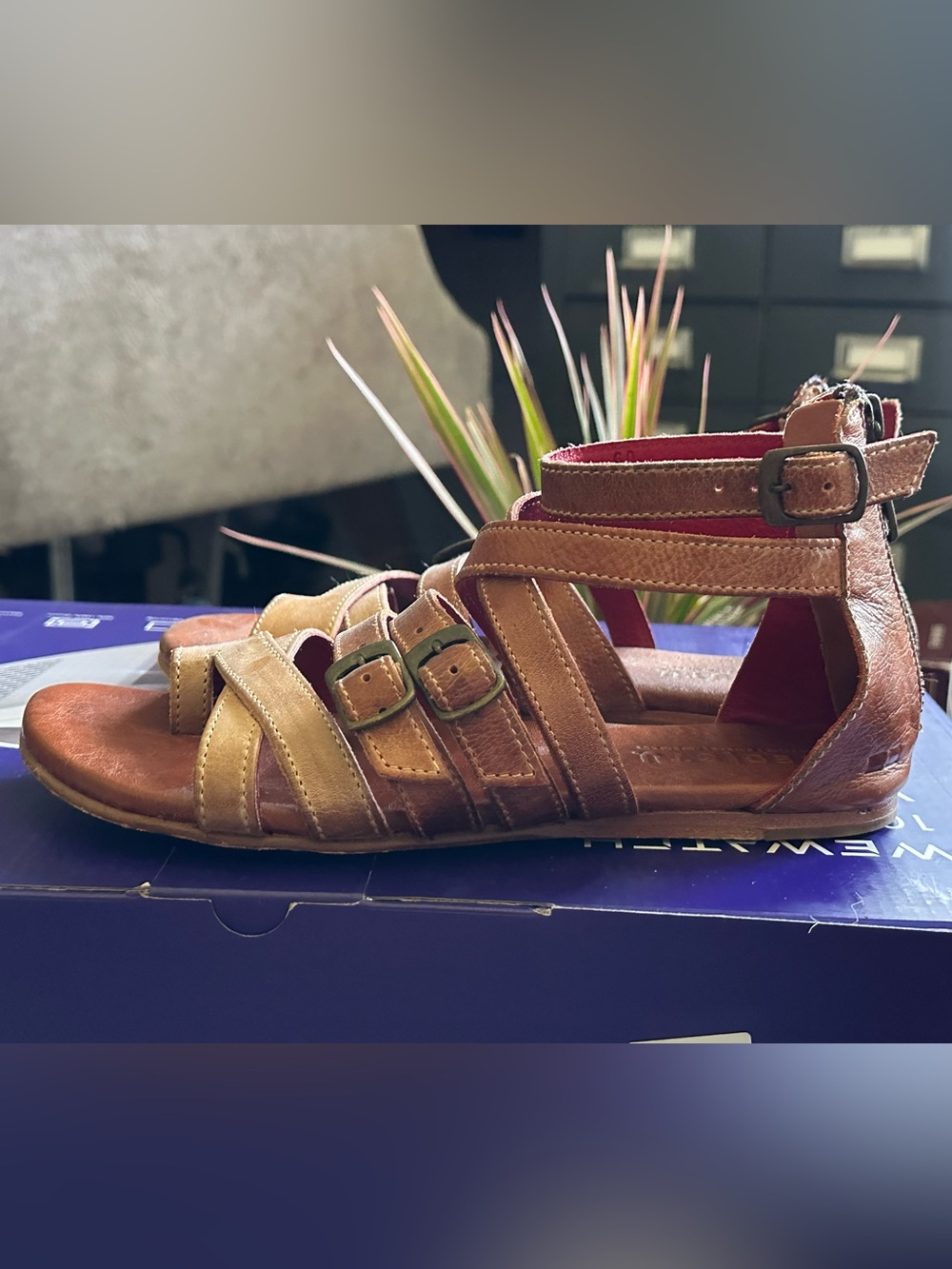 Bed Stu Miya gladiator sandals